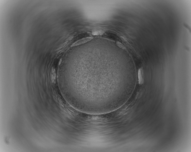 X0000100391443200806130941