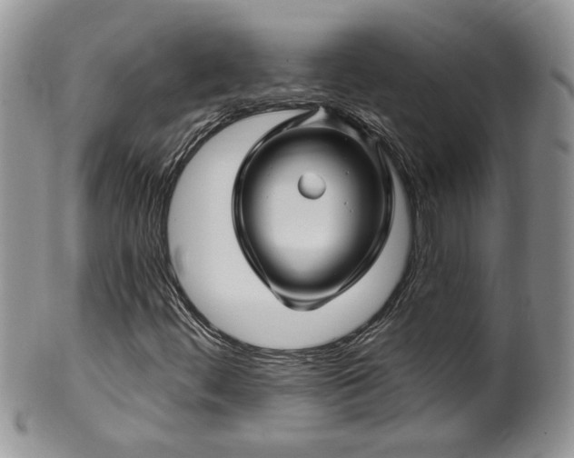 X0000100391444200806130941