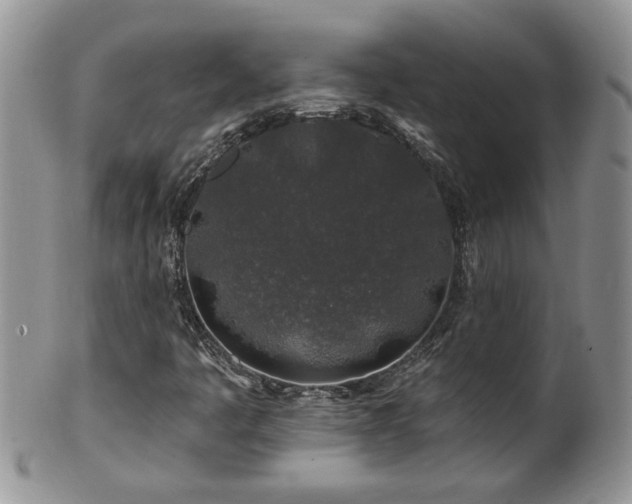 X0000100391445200806130941