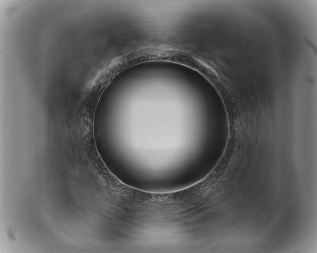 X0000100391447200806130941