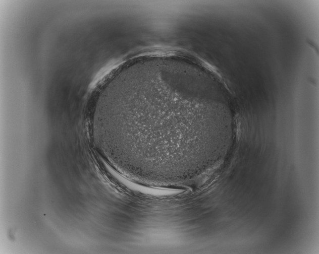 X0000100391448200806130941