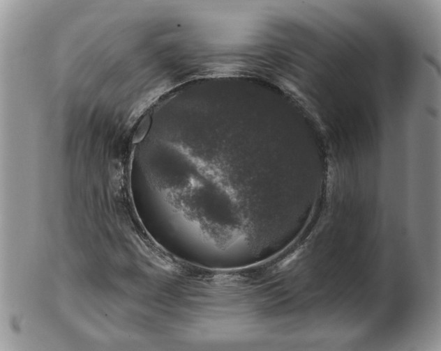 X0000100391449200806130941