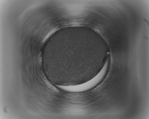 X0000100391450200806130941