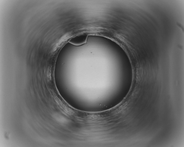 X0000100391451200806130941