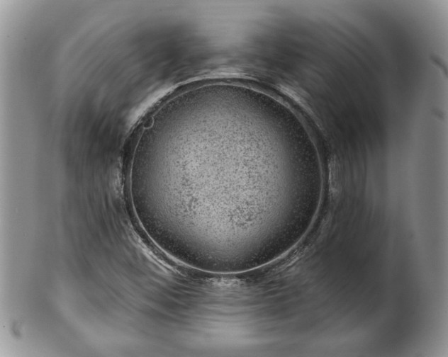 X0000100391452200806130941