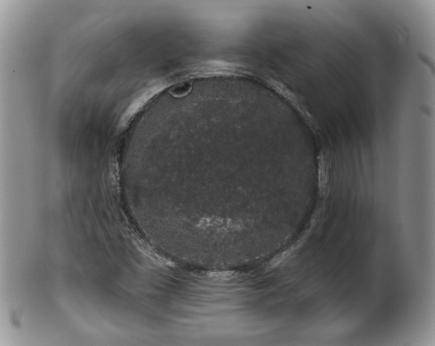 X0000100391453200806130941