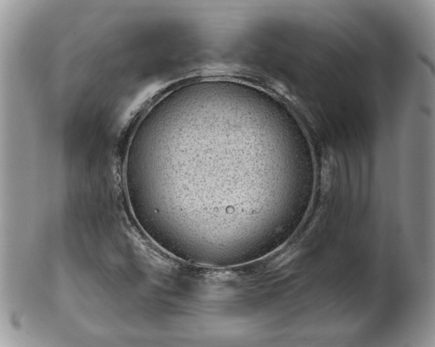 X0000100391454200806130941