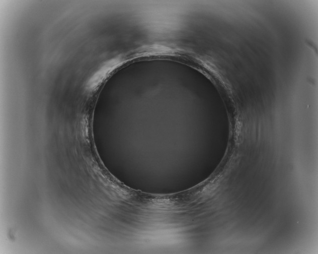 X0000100391455200806130941