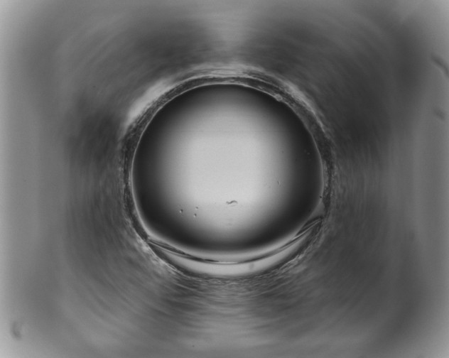 X0000100391456200806130941