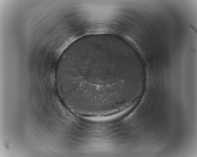 X0000100391457200806130941