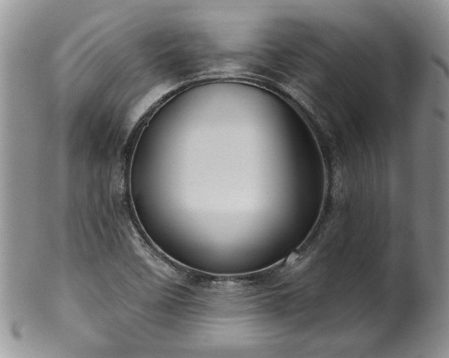 X0000100391458200806130941