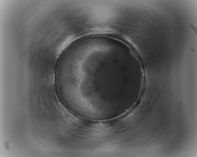 X0000100391459200806130941