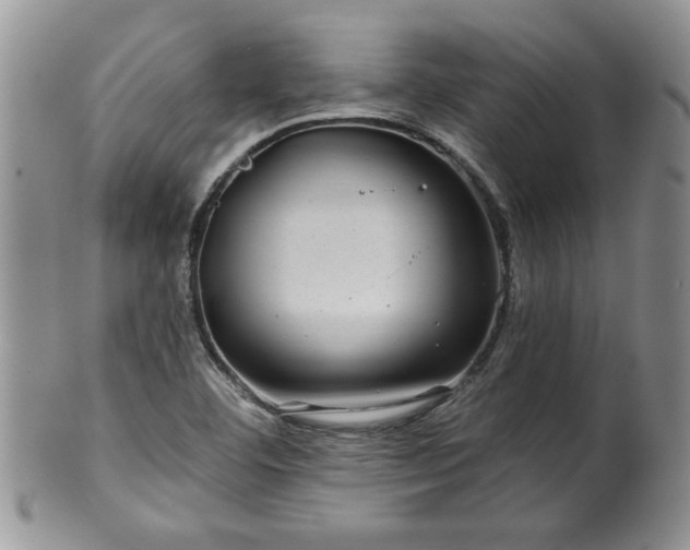 X0000100391460200806130941