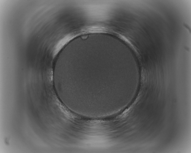 X0000100391461200806130941