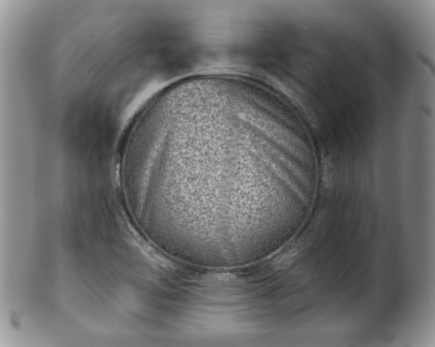 X0000100391462200806130941