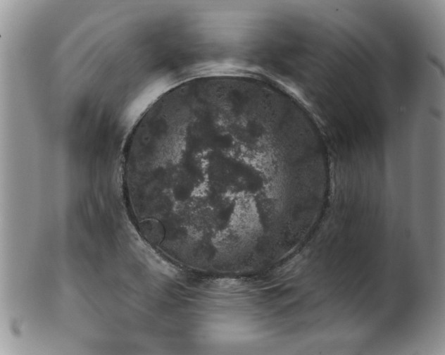 X0000100391463200806130941