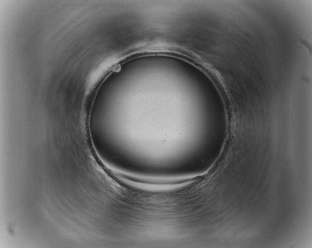 X0000100391464200806130941