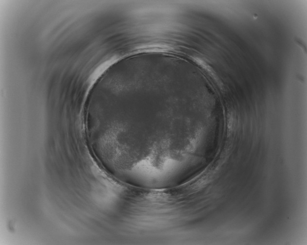 X0000100391466200806130941