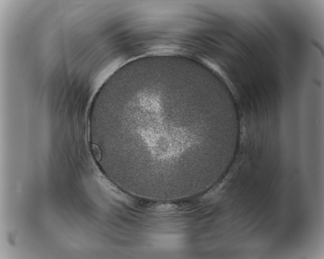 X0000100391467200806130941