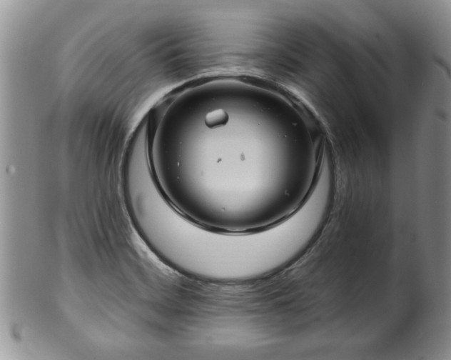 X0000100391468200806130941