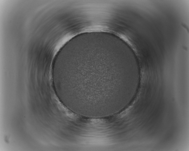 X0000100391469200806130941