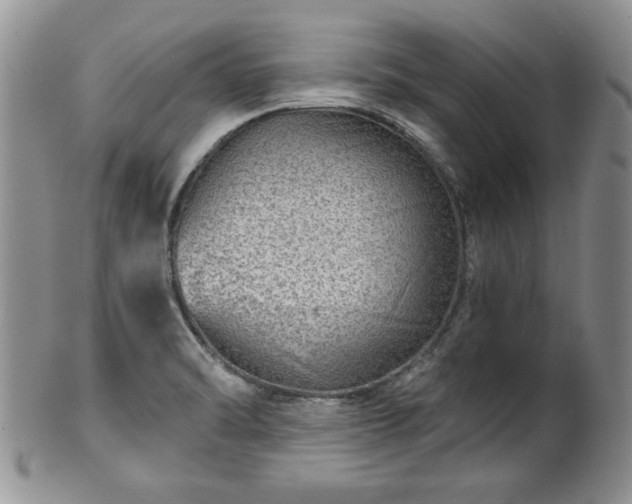 X0000100391470200806130941