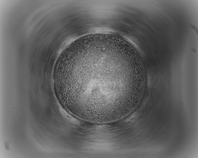 X0000100391471200806130941