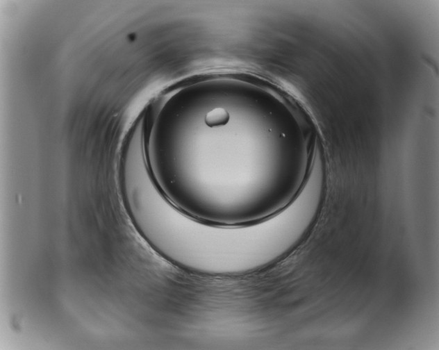 X0000100391472200806130941