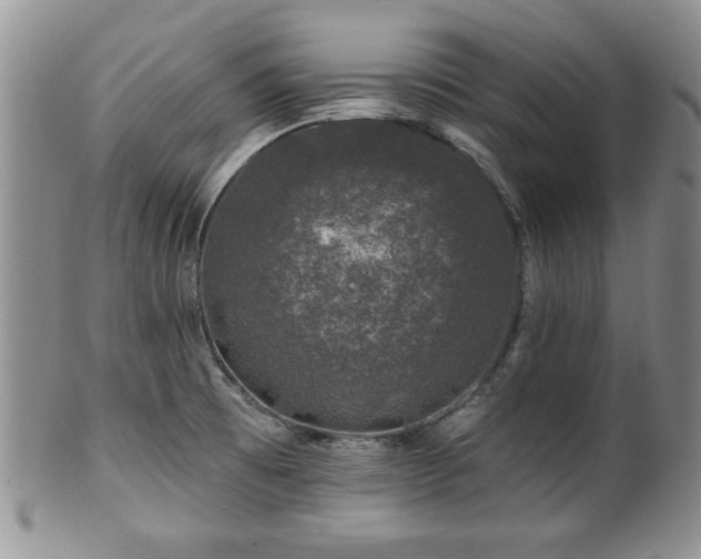 X0000100391473200806130941