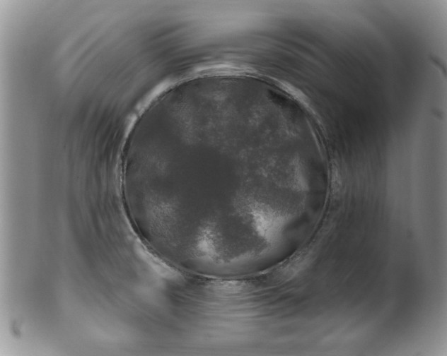 X0000100391474200806130941