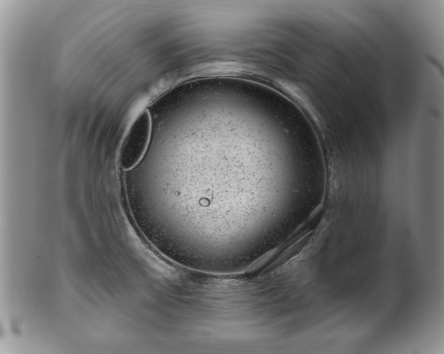 X0000100391475200806130941