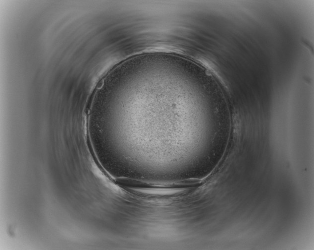 X0000100391476200806130941