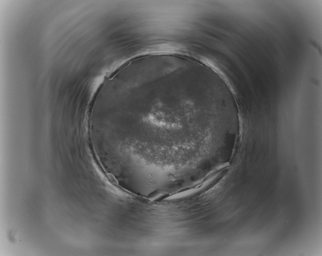 X0000100391477200806130941