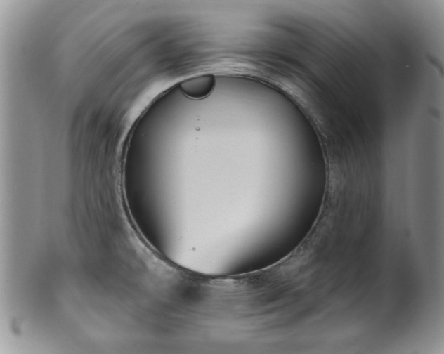 X0000100391478200806130941