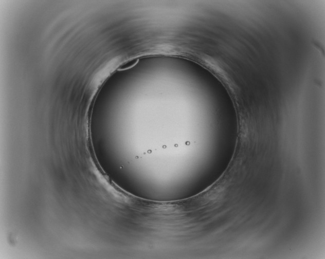 X0000100391479200806130941