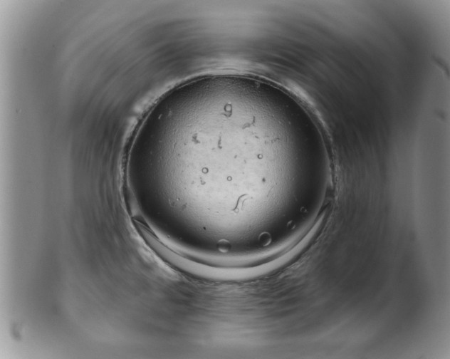 X0000100391480200806130941