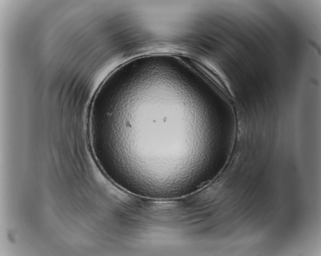 X0000100391483200806130940