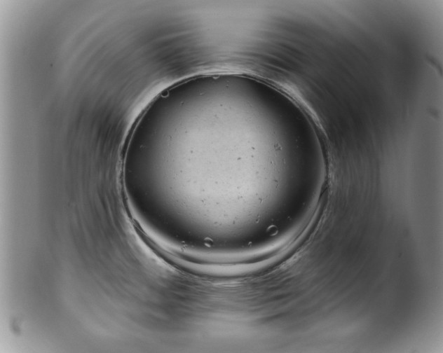 X0000100391484200806130940