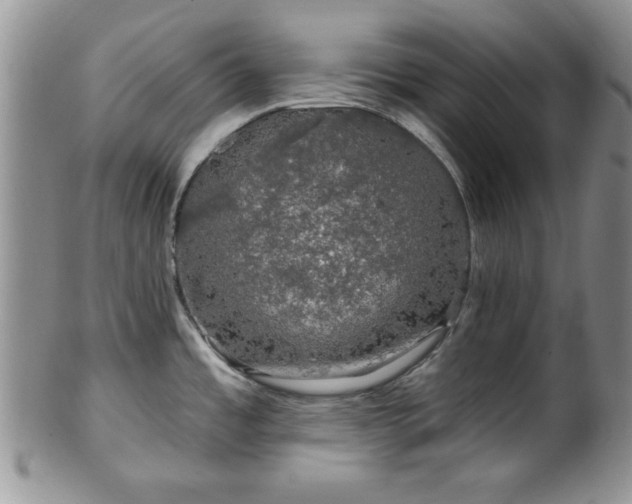 X0000100391485200806130940