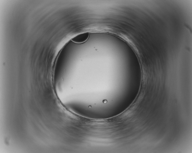 X0000100391486200806130940