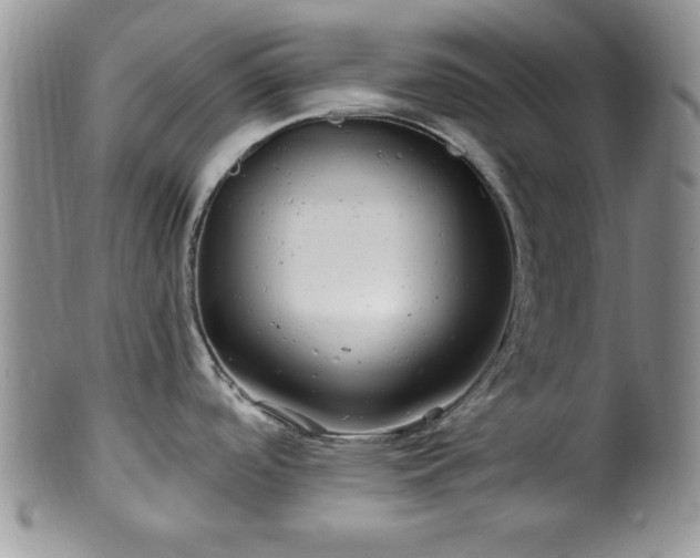 X0000100391488200806130940