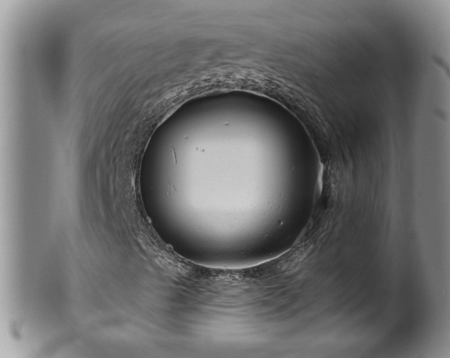 X0000100391489200806130940