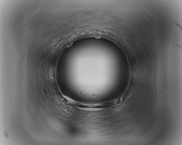 X0000100391490200806130940