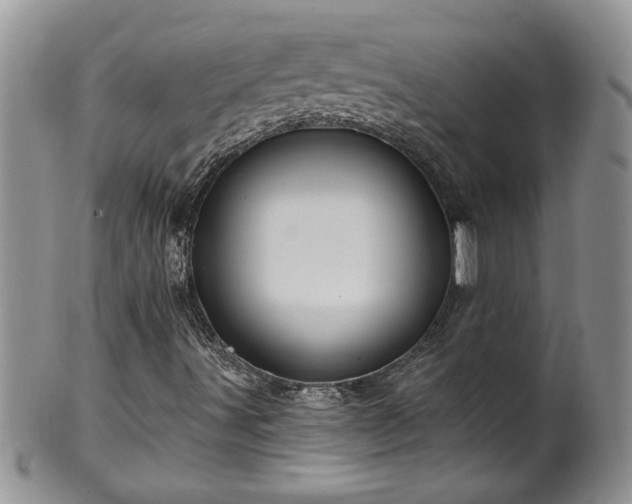 X0000100391491200806130940