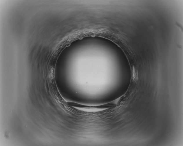 X0000100391492200806130940