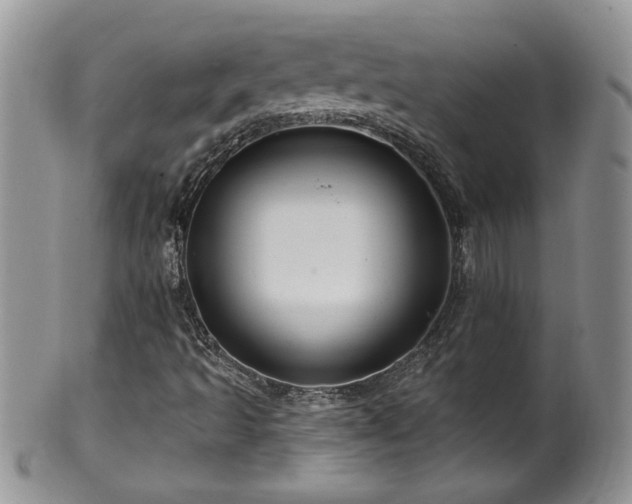 X0000100391493200806130940