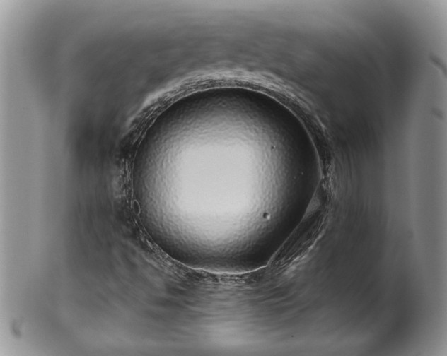 X0000100391494200806130940