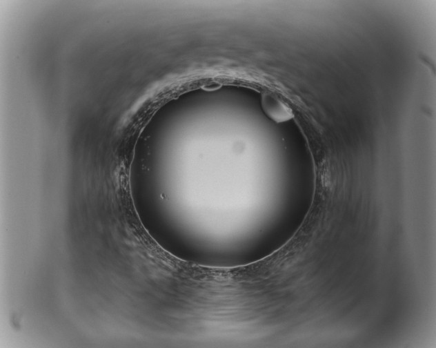 X0000100391495200806130940