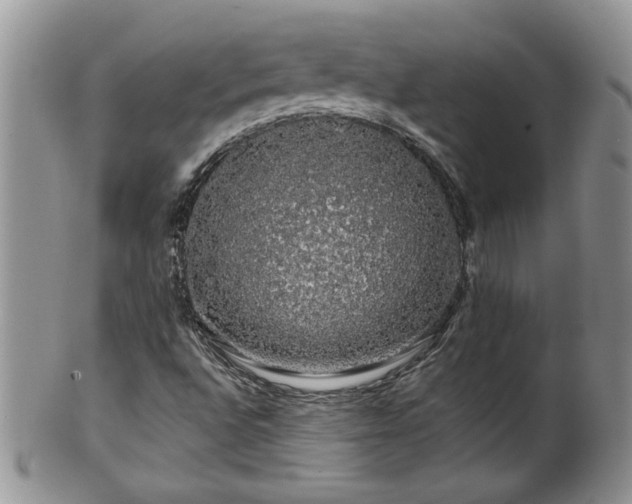 X0000100391496200806130940