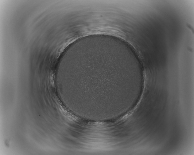 X0000100391497200806130940